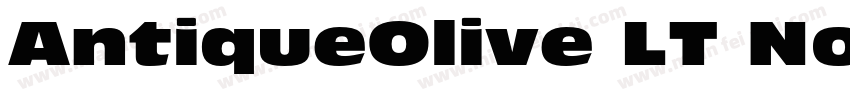 AntiqueOlive LT Nord Italic Preview字体转换
